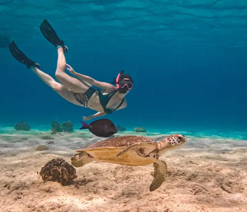 Snorkel-girl-2024-optimized-368e1d0e-1